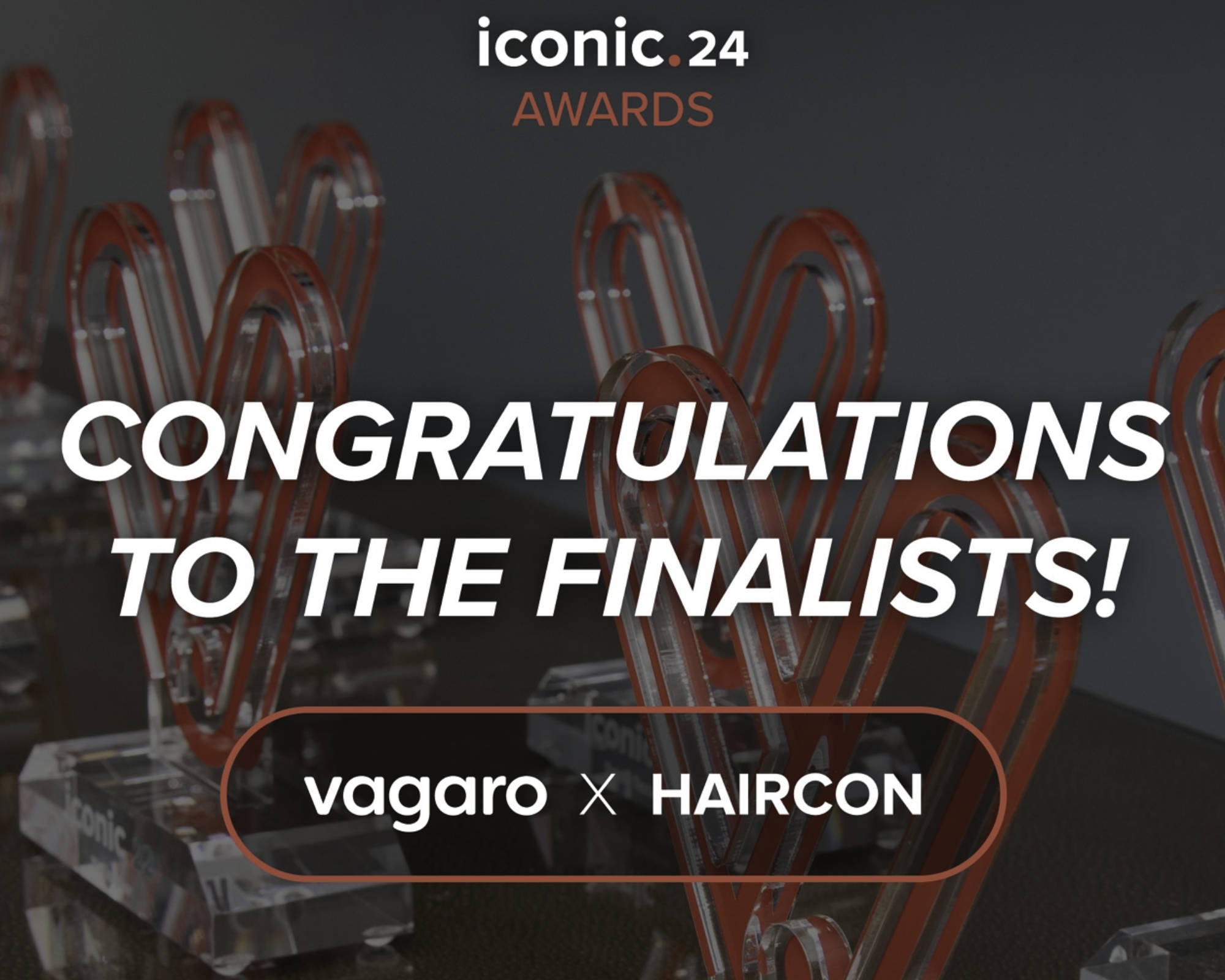 Vagaro Iconic. 24 Awards at HairCon.